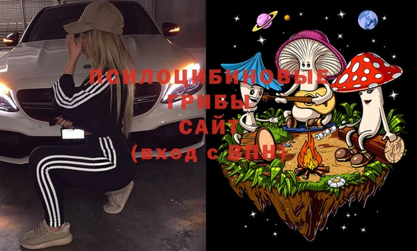 ECSTASY Алзамай