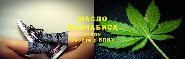 индика Бердск