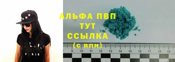 крисы Алексин
