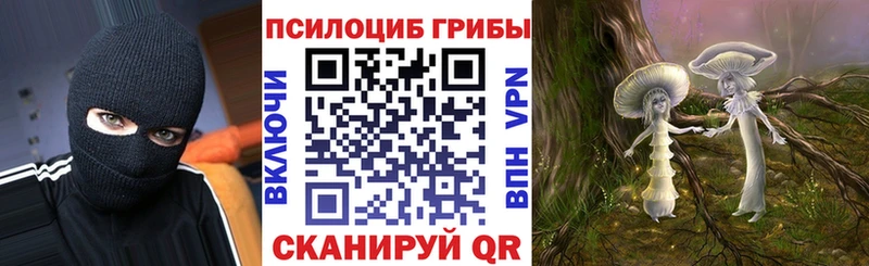 Галлюциногенные грибы Cubensis  Тимашёвск 
